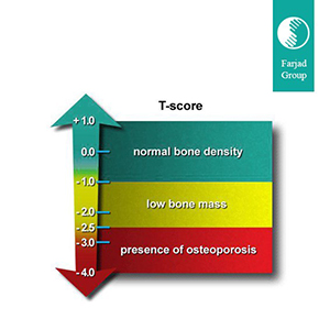 Bone Density Imaging devices helps doctors find the best cure for ...